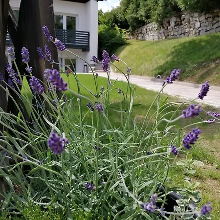 Hillside Bed & Breakfast 3*