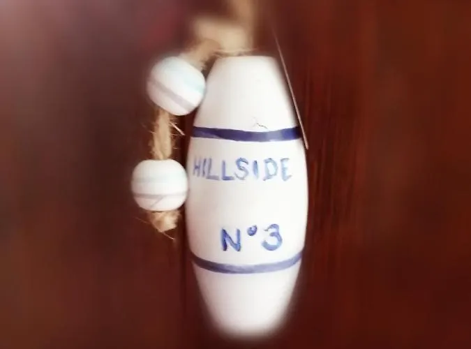 Hillside 住宿加早餐酒店 3*