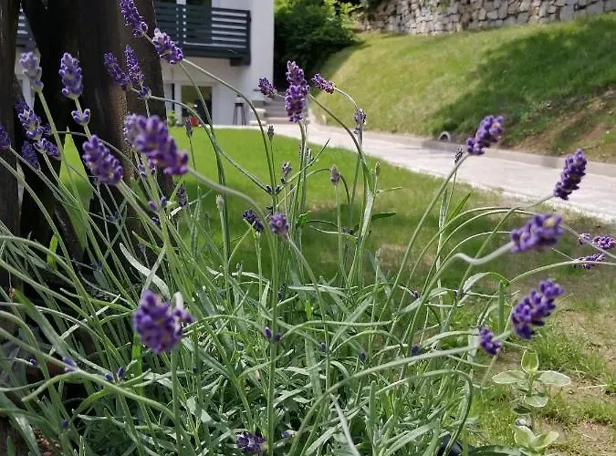 Hillside Frühstückspension 3*